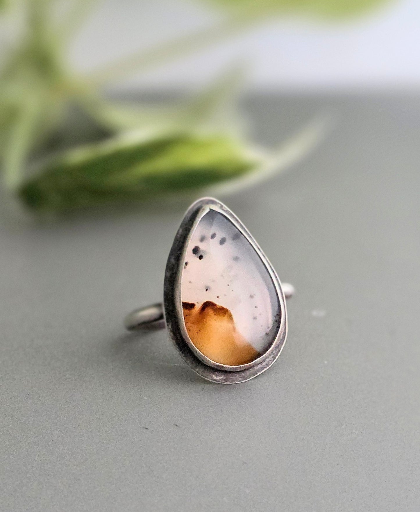 Montana Agate Sterling Silver Ring
